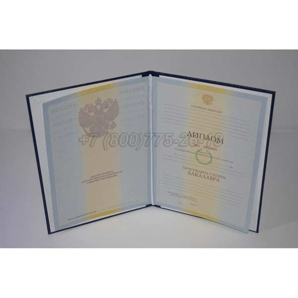 Диплом бакалавра 2009-2010 г.в. Омск